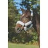 Shires ARMA Supafleece Halter Set - White -Kensington Shop 472798 800 800