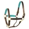 Perri's 1" Padded Leather Halter - Havana/Turquoise