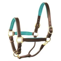 Perri's 1" Padded Leather Halter - Havana/Turquoise