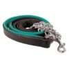 Perri's Padded Leather Lead W/Chain - Black/Turquoise/Stainless