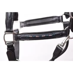 Perri's Blue Pearl Bling Padded Leather Halter - Black -Kensington Shop 500384 800 800