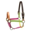 Perri's Nylon Safety Halter - Multi Neon