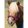 Shires Mini Topaz Halter - Purple -Kensington Shop 500453 800 800
