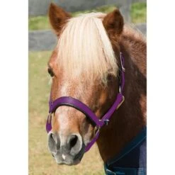 Shires Mini Topaz Halter - Purple