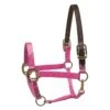 Perri's Nylon Safety Halter - Pink -Kensington Shop 500455 800 800