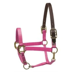 Perri's Nylon Safety Halter - Pink