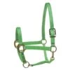 Perri's Nylon SuperHalter - Lime -Kensington Shop 500506 800 800