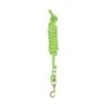Perri's 5/8" Nylon Lead W/Snap - Lime Green -Kensington Shop 500574 800 800