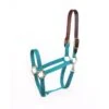 Perri's Economy Nylon Safety Halter - Turquoise -Kensington Shop 502027 800 800