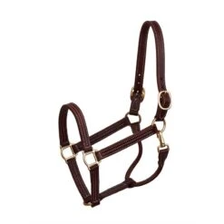 Perri's 1" Professional Leather Show Halter - Havana