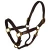 Perri's 3/4" Mini/Pony Padded Leather Halter - Havana/Brown -Kensington Shop 503680 800 800