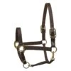 Perri's Nylon Safety Halter - Black