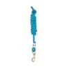 Perri's 5/8" Nylon Lead W/Snap - Turquoise