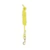 Perri's 5/8" Nylon Lead W/Snap - Yellow -Kensington Shop 504185 800 800