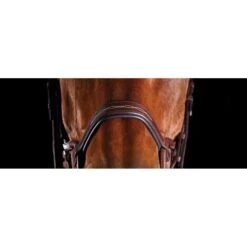 Collegiate Comfitec Fancy Stitch Bridle - Brown -Kensington Shop 540562 800 800