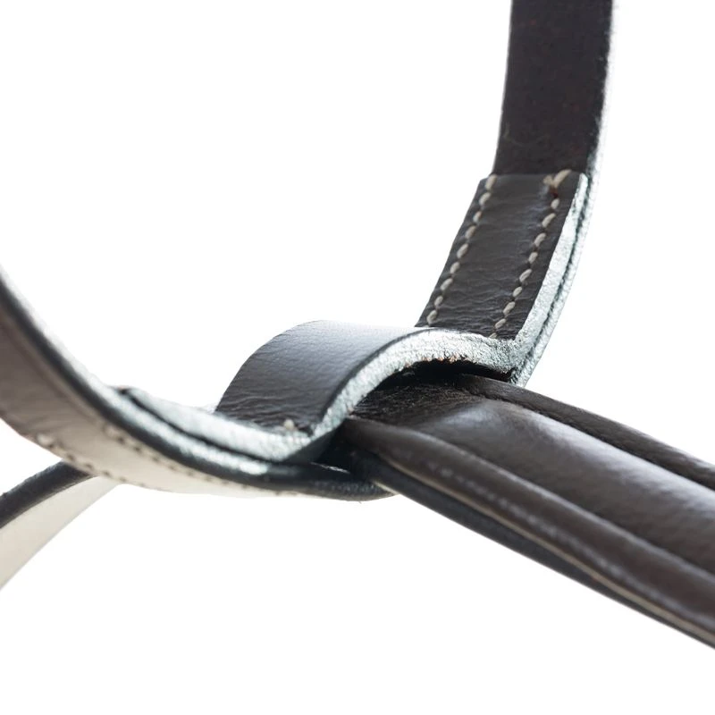 Equinavia Saga Running Martingale - Chocolate Brown 4 Equinavia Saga Running Martingale - Chocolate Brown - Image 2