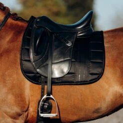 B Vertigo Drew Dressage Saddle Pad - Black -Kensington Shop 543803 800 800