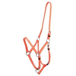 Zilco Deluxe Endurance Bridle/Halter Cavesson Only - Orange