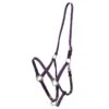 Zilco Deluxe Endurance Bridle/Halter Cavesson Only - Purple -Kensington Shop 545711 800 800