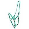 Zilco Deluxe Endurance Bridle/Halter Cavesson Only - Green -Kensington Shop 545717 800 800