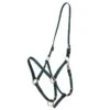 Zilco Deluxe Endurance Bridle/Halter Cavesson Only - Hunter Green -Kensington Shop 545719 800 800