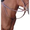 Passport Square Raised Standing Martingale - Mahogany
