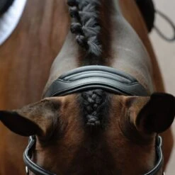 Collegiate Comfitec Vogue Anatomical Bridle - Black -Kensington Shop 553323 800 800