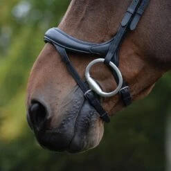 Collegiate Comfitec Vogue Anatomical Bridle - Black -Kensington Shop 553324 800 800