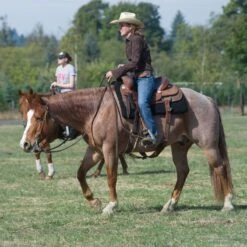 CoolBack Rancher Triple Thick Western Pad - Black -Kensington Shop 559681 800 800