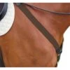 Kincade Elastic Y Fit Breastplate - Brown -Kensington Shop 581612 800 800