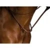 Kincade Raised Martingale Standing - Brown -Kensington Shop 581642 800 800