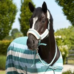 Horze Stanford Lead W/Panic Snap - Arctic Blue -Kensington Shop 587075 800 800