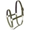 Horze Victoria Halter - Beetle Khaki Green -Kensington Shop 602658 800 800