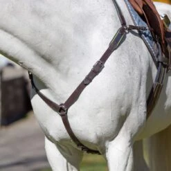 Equinavia Valkyrie Elastic Breastplate - Chocolate Brown -Kensington Shop 608056 800 800