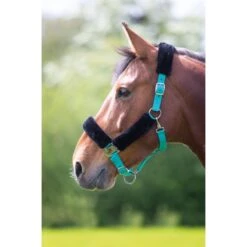 Shires Fleece Lined Headcollar W/Breakaway - Teal