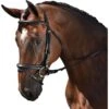 M. Toulouse Euro Style Dressage Bridle - Black -Kensington Shop 631700 800 800