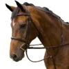 M. Toulouse Novice Hunter Bridle - Chocolate
