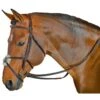 M. Toulouse Classic Figure 8 Bridle - Chocolate -Kensington Shop 631988 800 800