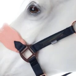 Horze Trixi Pony Soft Fleece Halter - Dark Navy -Kensington Shop 649675 800 800