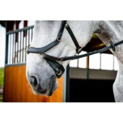 Rambo Micklem 2 Multi Bridle - Black -Kensington Shop 665908 800 800