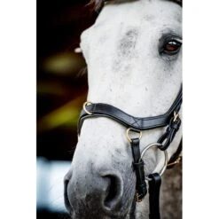 Rambo Micklem 2 Multi Bridle - Black -Kensington Shop 665909 800 800