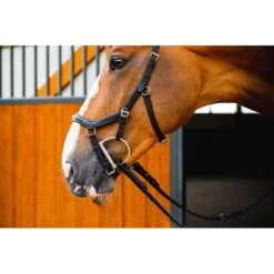 Rambo Micklem 2 Deluxe Competition Bridle W/Reins - Black -Kensington Shop 665936 800 800