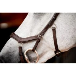 Rambo Micklem 2 Competition Bridle W/Reins - Dark Havana -Kensington Shop 666006 800 800