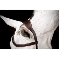 Rambo Micklem 2 Competition Bridle W/Reins - Dark Havana -Kensington Shop 666007 800 800