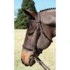 Nunn Finer Nunn Finer Event Bridle - Havana/Brass -Kensington Shop 672551 800 800