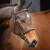 Shires Velociti Lusso Hunter Cavesson Bridle - Havana -Kensington Shop 674163 800 800