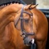 Shires Velociti Lusso Ergonomic Curved Flash Bridle - Havana -Kensington Shop 674177 800 800