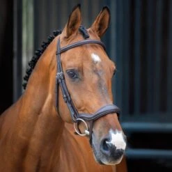 Shires Velociti Lusso Ergonomic Flash Bridle - Havana