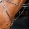 Shires Velociti Rapida Breastplate - Havana -Kensington Shop 674224 800 800