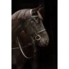Amigo Deluxe Hunter Snaffle Bridle - Black 2 Amigo Deluxe Hunter Snaffle Bridle - Black -Kensington Shop 680527 800 800